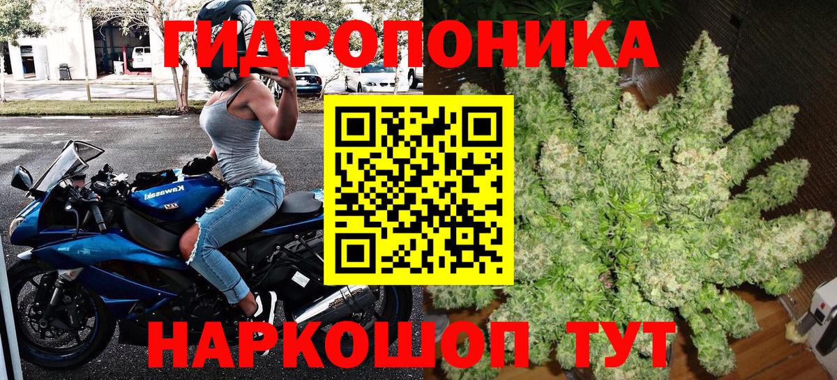 Шишки марихуана Amnesia Назрань